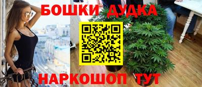 Альфа ПВП Будённовск