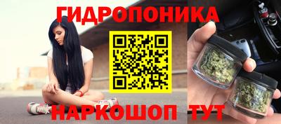 Альфа ПВП Будённовск