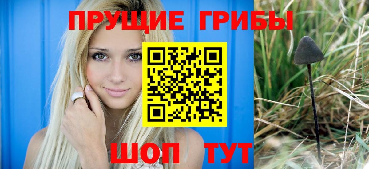Псилоцибиновые грибы Psilocybine cubensis  Вход с VPN  Псилоцибиновые грибы мицелий  Сыктывкар 