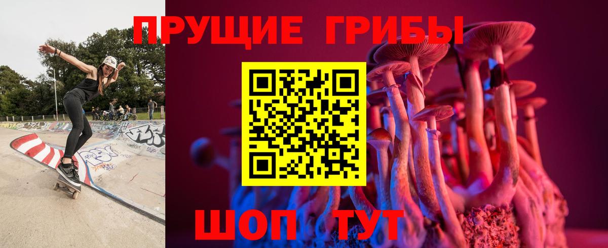 Псилоцибиновые грибы прущие грибы Сыктывкар